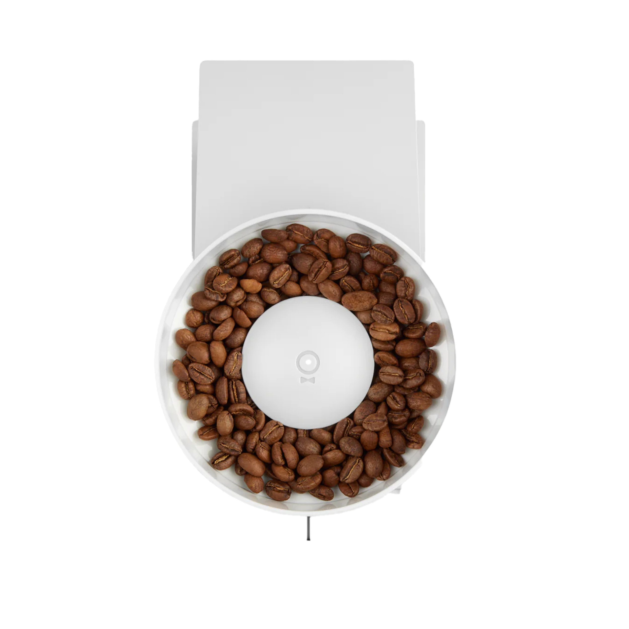 Fellow Opus Conical Burr Grinder